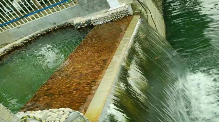 【關(guān)注】使命必達(dá)、久久為功——走近中建環(huán)能華東公司