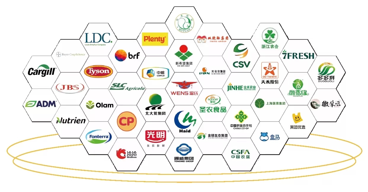 2026 IRID國際鄉(xiāng)村發(fā)展創(chuàng)新博覽會正式啟動：科技賦能鄉(xiāng)村，創(chuàng)新引領(lǐng)未來！